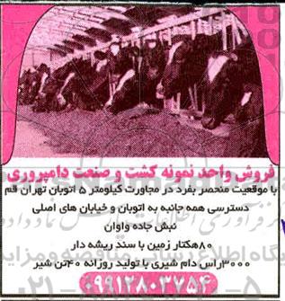 مزایده, مزایده فروش 80 هکتار زمین و ...