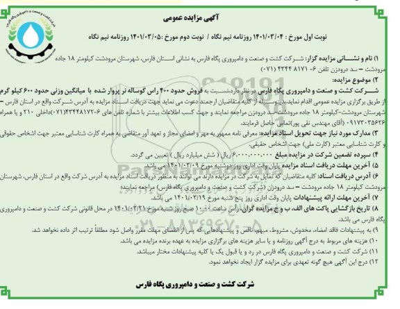 مزایده عمومی فروش حدود 400 راس گوساله نر پروار شده 