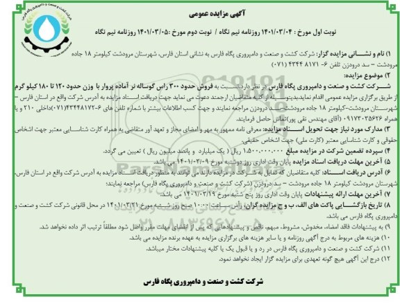 مزایده عمومی فروش حدود 300 راس گوساله نر آماده پروار