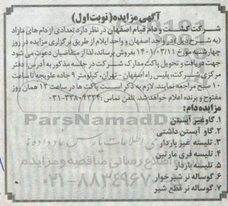 مزایده فروش تعدادی از دام های مازاد