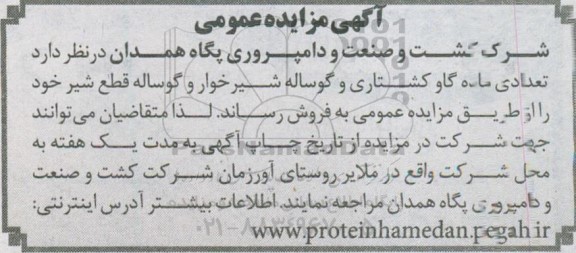 مزایده، مزایده تعدادی ماده گاو کشتاری و گوساله قطع شیر 