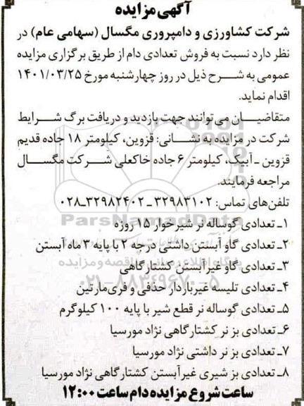 مزایده فروش تعدادی دام