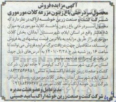 مزایده فروش سردرختی باغ زیتون 