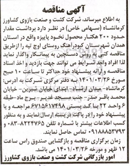 مناقصه، مناقصه  برداشت مقدار حدود 200 هکتار محصول نخود پاییزه