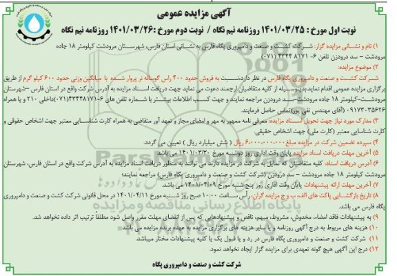 مزایده فروش حدود 400 راس گوساله نر پروار شده
