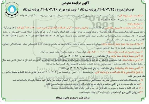 مزایده عمومی فروش حدود 300 راس گوساله نر آماده پروار 