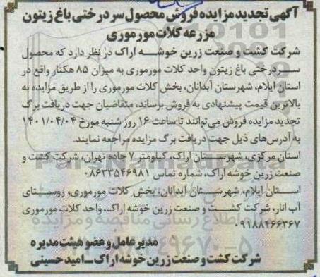 تجدید مزایده فروش سردرختی باغ زیتون 