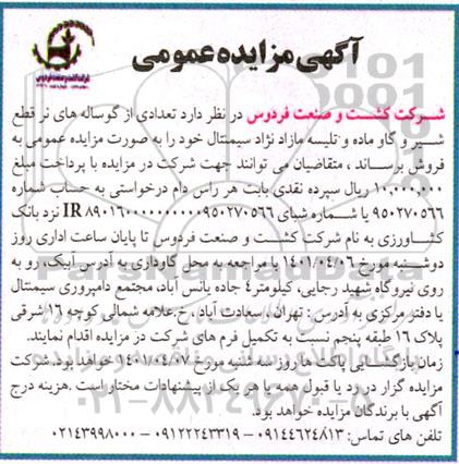 مزایده تعدادی از گوساله های نر قطع شیر نژاد سیمنتال