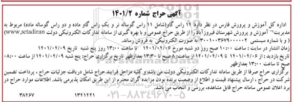 مزایده فروش 14 راس گاو شامل 11 راس گوساله نر و یک راس گاو ماده و دو راس گوساله