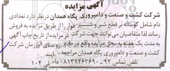 مزایده، مزایده تعدادی دام شامل گوساله نر قطع شیر