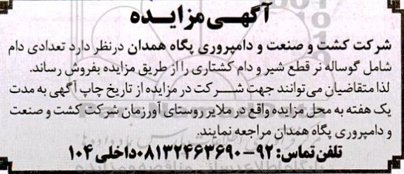 مزایده تعدادی دام شامل گوساله نر قطع شیر و دام کشتاری 