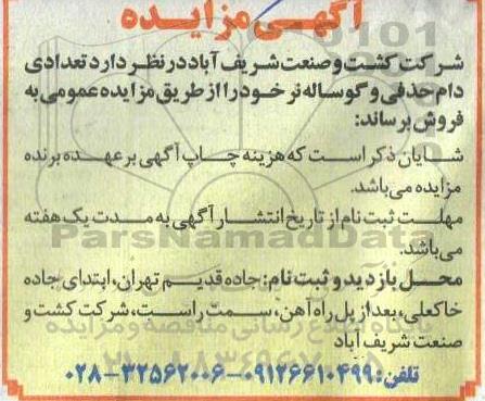 مزایده تعدادی دام حذفی و گوساله نر 