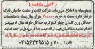 مناقصه خرید 70.000 هزار نهال پسته 