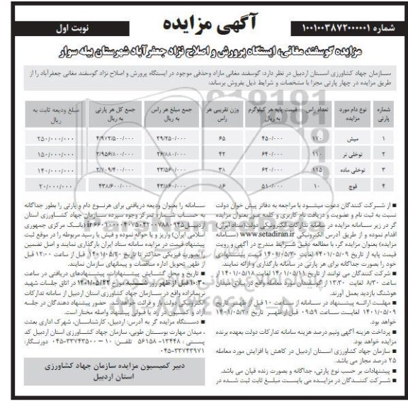 مزایده, مزایده گوسفند مغانی، ایستگاه پرورش و اصلاح نژاد