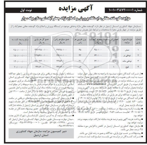 مزایده, مزایده گوسفند مغانی، ایستگاه پرورش و اصلاح نژاد 