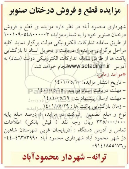 مزایده قطع و فروش درختان صنوبر