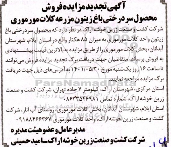 تجدید مزایده فروش محصول سردرختی باغ زیتون مزرعه کلات مورموری