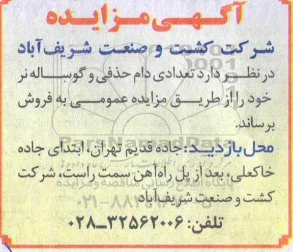 مزایده تعدادی دام حذفی و گوساله نر 