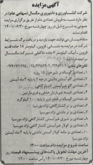 مزایده فروش تعدادی دام 