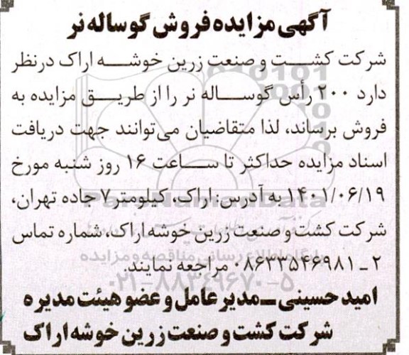 مزایده فروش گوساله نر 