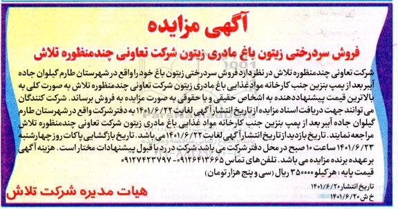 مزایده فروش سردرختی زیتون باغ مادری