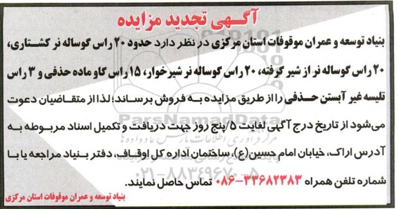 مزایده فروش حدود 20 راس گوساله نر کشتاری ....