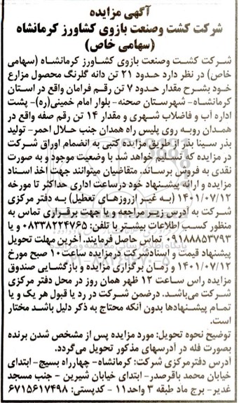 مزایده حدود 21 تن دانه گلرنگ محصول مزارع