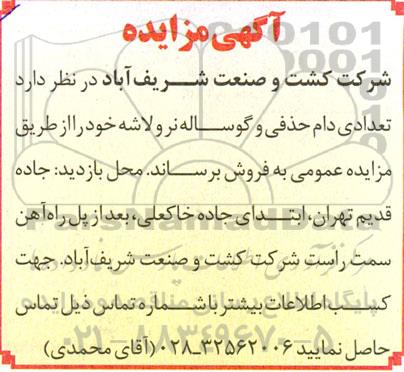 مزایده تعدادی دام حذفی و گوساله نر و لاشه 