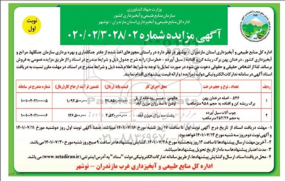 مزایده فروش درختان پهن برگ ریشه کن و افتاده (سیل آورده- خطرساز)