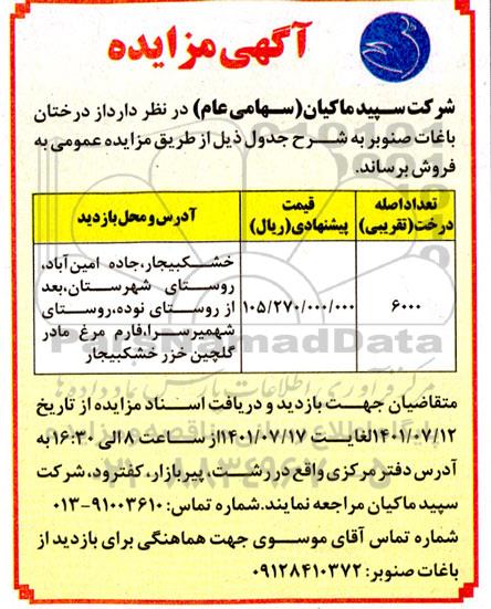مزایده  تعداد تقریبی 6000 اصله درخت صنوبر