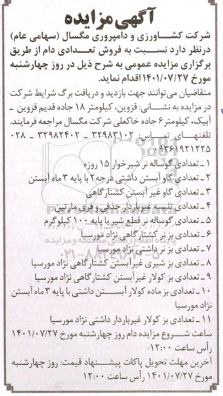مزایده فروش تعدادی دام 