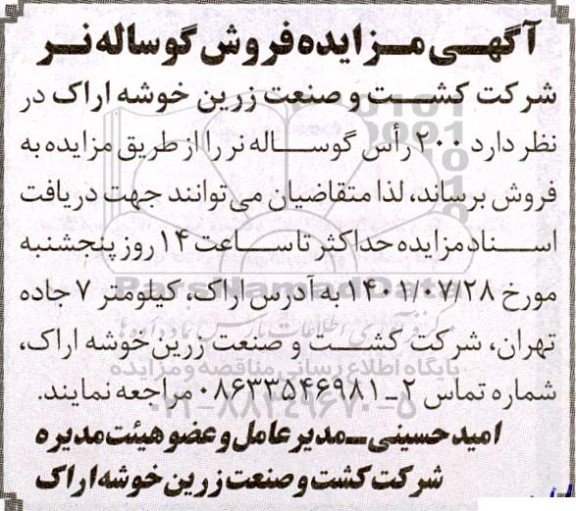 مزایده فروش گوساله نر 