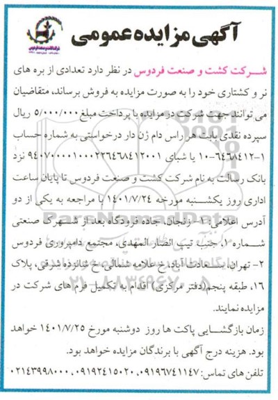 مزایده تعدادی از بره های نر و کشتاری 