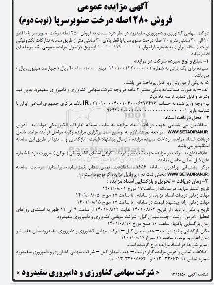 مزایده فروش 280 اصله درخت صنوبر سرپا