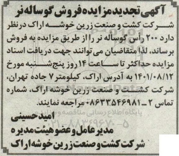 مزایده فروش گوساله نر - تجدید