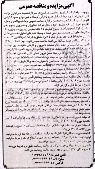 مناقصه و مزایده حمل، تخلیه و تحویل شیر خام تولیدی و انتخاب پیمانکار تامین نیروی انسانی و فروش تعدادی دام مازاد شامل حدود 65 راس گوساله نر ....