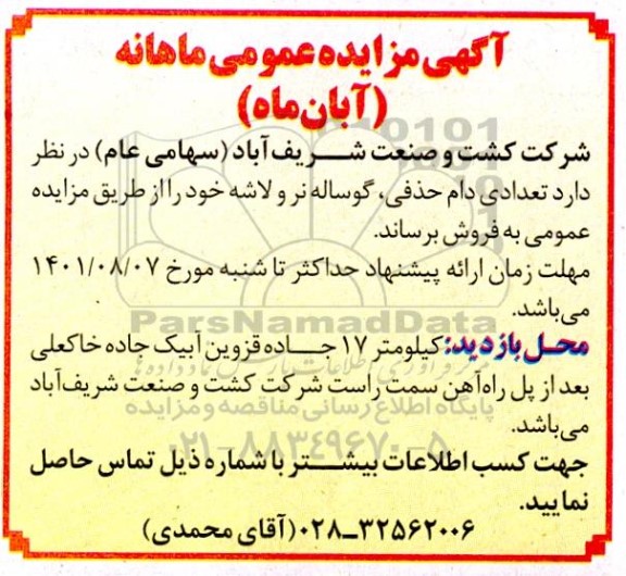 مزایده فروش تعدادی دام حذفی، گوساله نر و لاشه 
