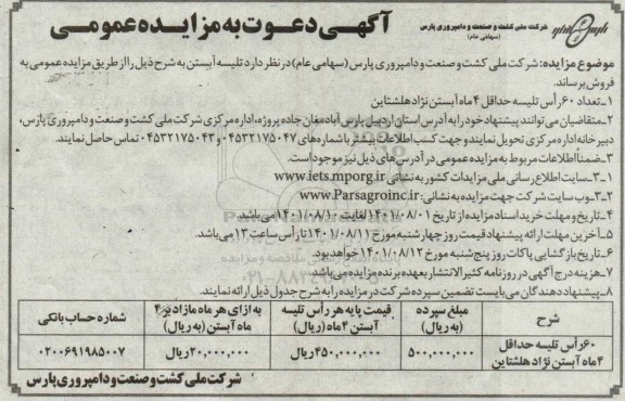 مزایده  تعداد 60 راس تلیسه حداقل 4 ماه آبستن نژاد هلشتاین 