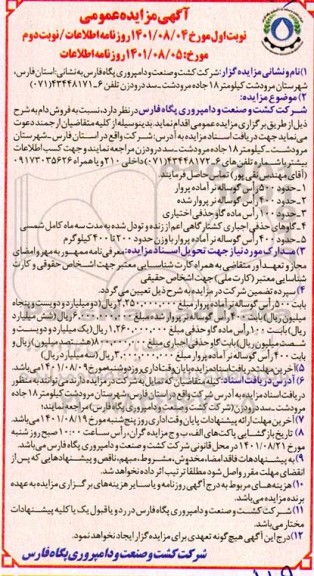مزایده فروش حدود 500 راس گوساله نر آماده پروار ...- نوبت دوم 
