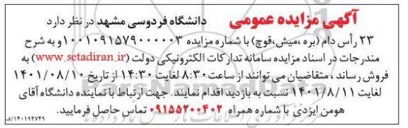 مزایده فروش 32 راس دام