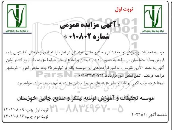 مزایده درختان اکالیپتوس