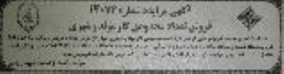مزایده فروش تعداد محدودی گاو مولد و شیری