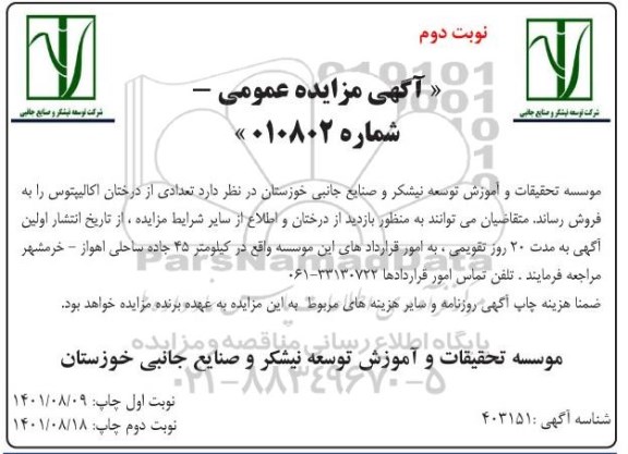 مزایده درختان اکالیپتوس- نوبت دوم