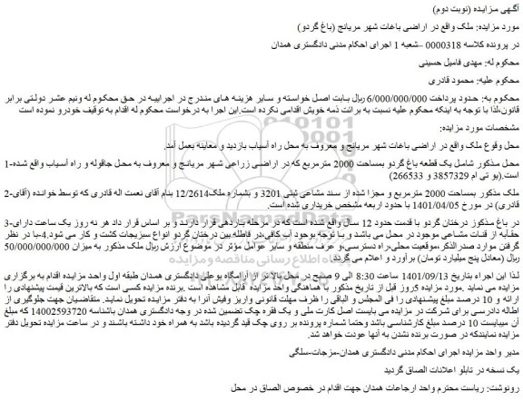 مزایده فروش  یک قطعه باغ گردو بمساحت 2000 مترمربع 