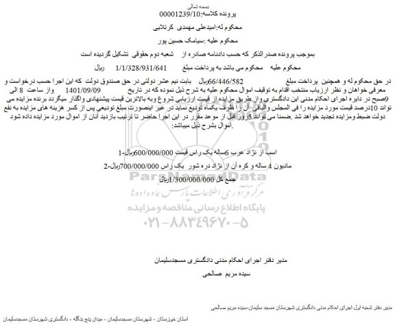 مزایده فروش اسب از نژاد عرب 6ساله یک راس  