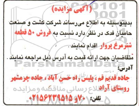 مزایده فروش 50 قطعه شترمرغ پروار 