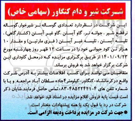 مزایده فروش تعدادی گوساله نر شیرخوار، گوساله نر قطع شیر، جوانه نر، گاو آبستن، گاو غیر آبستن (کشتارگاهی)،  ....
