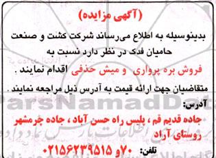 مزایده فروش بره پرواری و میش حذفی