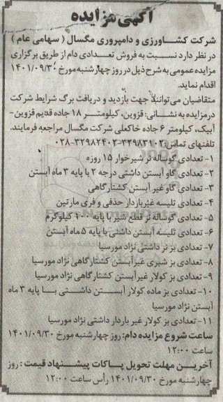 مزایده فروش تعدادی دام 
