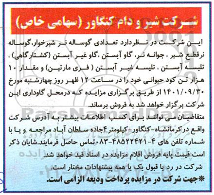 مزایده فروش تعدادی گوساله نر شیرخوار، گوساله نر قطع شیر...